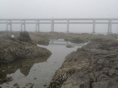 -黑石礁公园