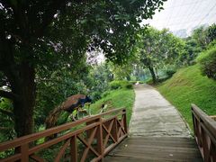 -吉隆坡雀鸟公园