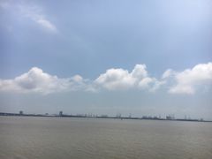 -大湾区中央湿地公园