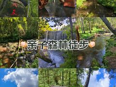 -汤旺河林海奇石景区