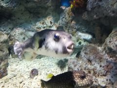 -福州罗源湾海洋世界旅游区