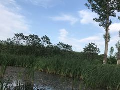 -东郊湿地公园