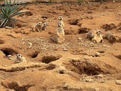 -杭州野生动物世界