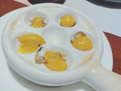 -黑松白鹿(崇文门新活馆店)