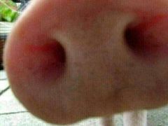 -太麻里文创咖啡馆(创意设计中心店)