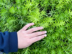 -徐家汇源景区-衡山公园