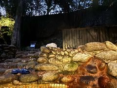 -三江森林温泉度假区