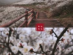-原乡小镇度假乐园