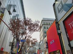 -BHC炸鸡(明洞总店)