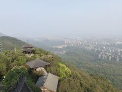 -杭州半山国家森林公园