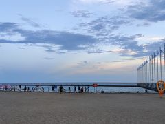 -碧海金沙