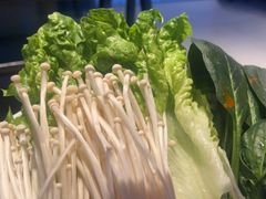 -辣伍鲜毛肚老火锅(元一店)