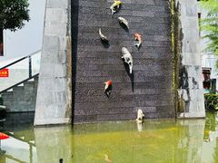 -瑞丰园庭院餐厅·白族传统家常菜