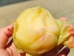 -老袁家蜜桃农场·阳山水蜜桃