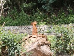 -云南野生动物园