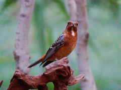 -苏州河梦清园环保主题公园