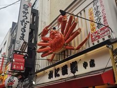-蟹道乐(道顿堀本店)