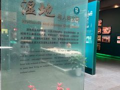 -中国湿地博物馆
