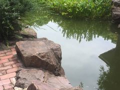 -新湖明珠城
