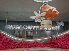 -花菇朵 ll 野生菌锅·精品滇菜(后沙峪店)