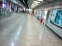 -桃浦新村(地铁站)
