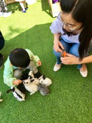 -萌宠亲子动物乐园(槐房万达店)