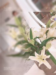 点击看大图 -Verywang半永久纹眉•仪器野生眉