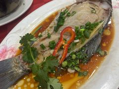 -先鲜鲫鱼粥