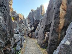 -玉石林风景区