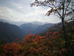 -秦岭风景区