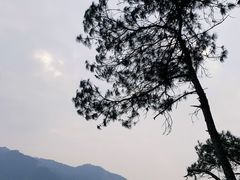 -羚羊峡古栈道森林公园