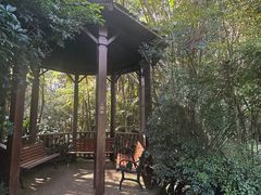 -EG Waterhouse Camellia Gardens Sutherland Shire