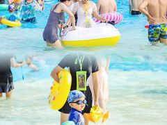 -重庆海昌加勒比海水世界