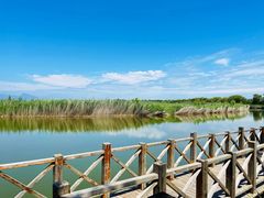 -野鸭湖国家湿地公园