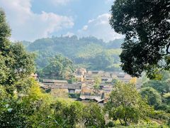 -杨家堂村