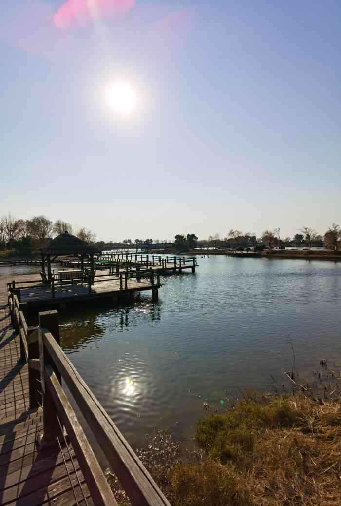 杵山生态公园-"之前杵山生态园在办恐龙展览,女儿很喜欢恐..."-大众点