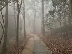 -缙云山景区
