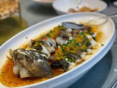 银鱼丝瓜-九福楼大酒店