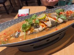 -mango tree芒果树餐厅(K11店)