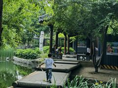 -春风习习
