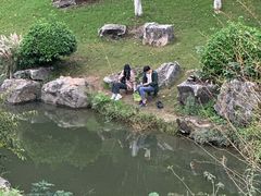 -羊山湖公园