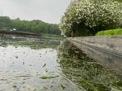 -白塘生态植物园