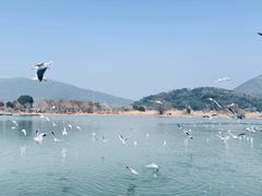 -太湖面馆十八浇(渔港路店)