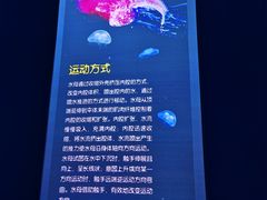 -龍歌自助小火锅(市南金茂湾店)