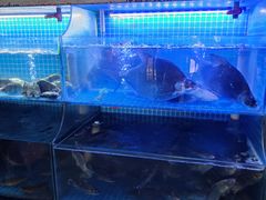 -雅和生态渔庄·宜城锅巴饭(龙灵山公园店)