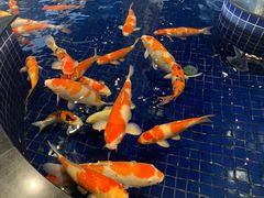 -适口餐厅砂锅粥(公信路总店)