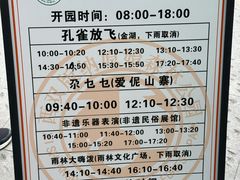 -西双版纳原始森林公园