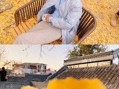 -自如ZSPACE四合院艺术餐厅