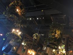 -同仁四季椰子鸡(海岸城天利店)