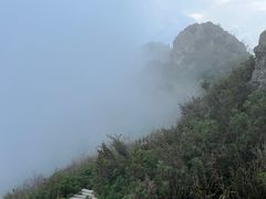 -白草畔自然风景区